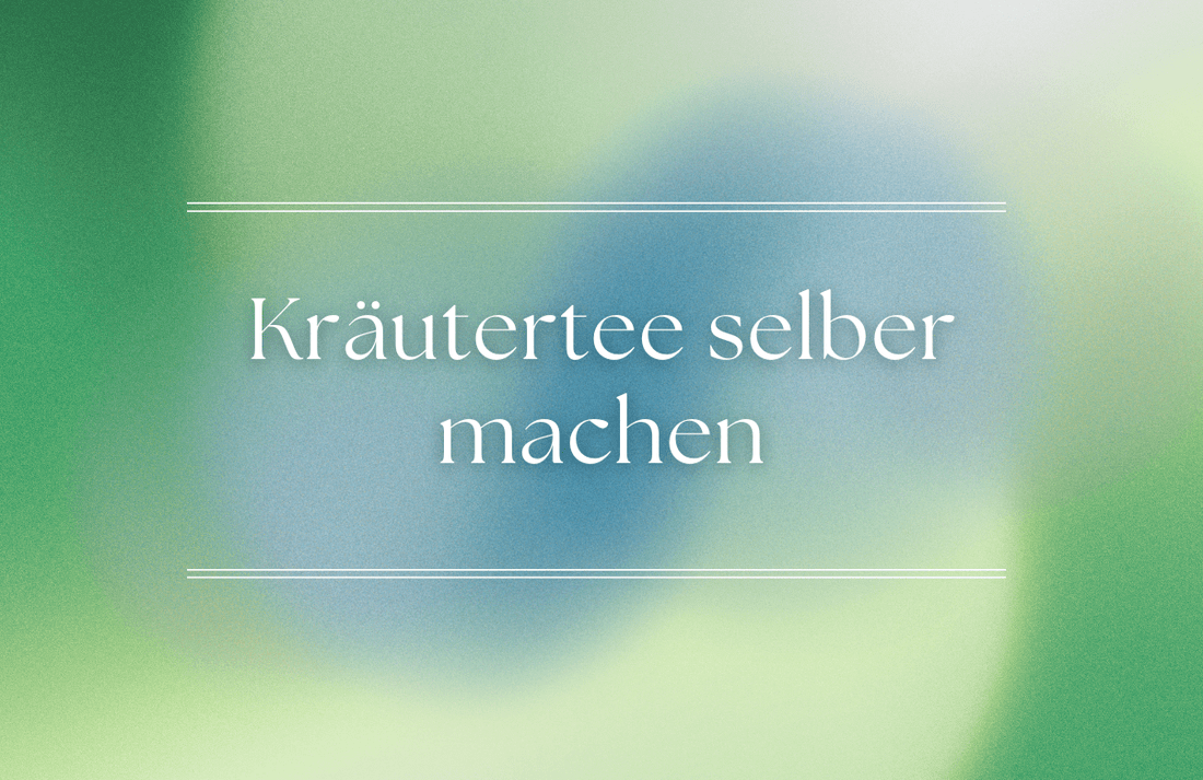 Kräutertee selber machen: Was beim Tee selbst mischen wirklich zählt
