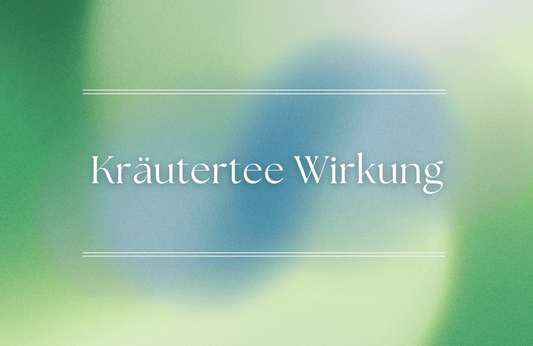 Kräutertee Wirkung im Alltag: Wie gesund Kräutertee wirklich ist